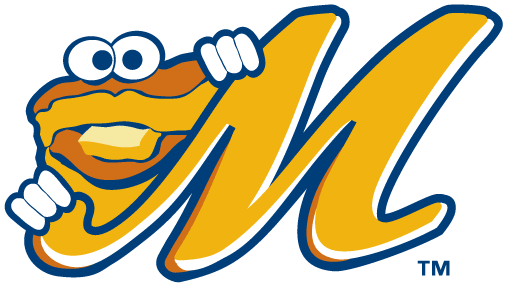 Montgomery Biscuits 2004-2008 Cap Logo iron on heat transfer